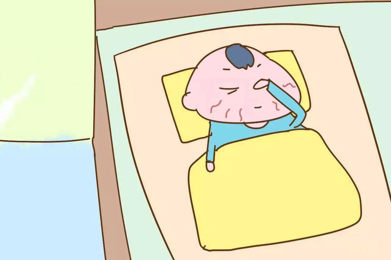 解锁新市场！梅州观赏鱼 “游” 进马来西亚