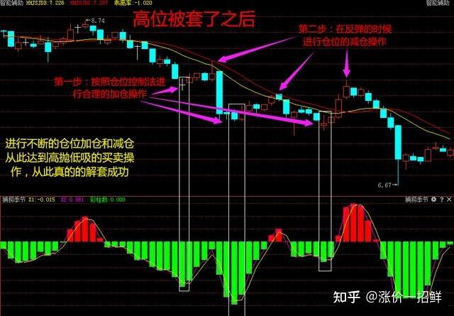 我市大力推动体育事业与城市发展双向赋能